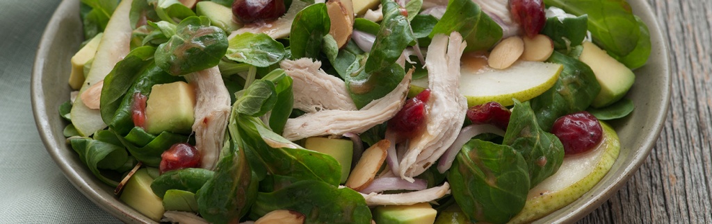 Mache and Turkey Salad with Cranberry Dressing