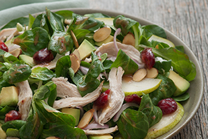 Mache and Turkey Salad with Cranberry Dressing