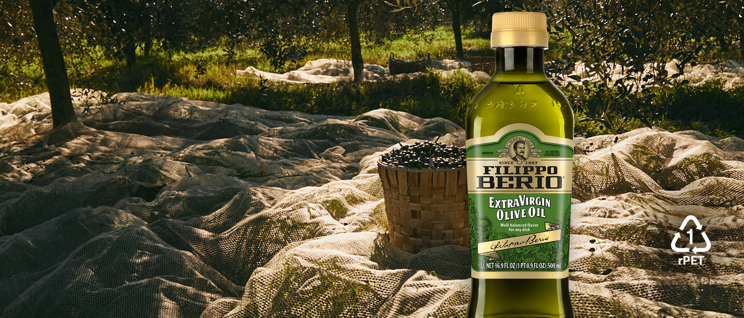 A bottle of olive oil in a field.