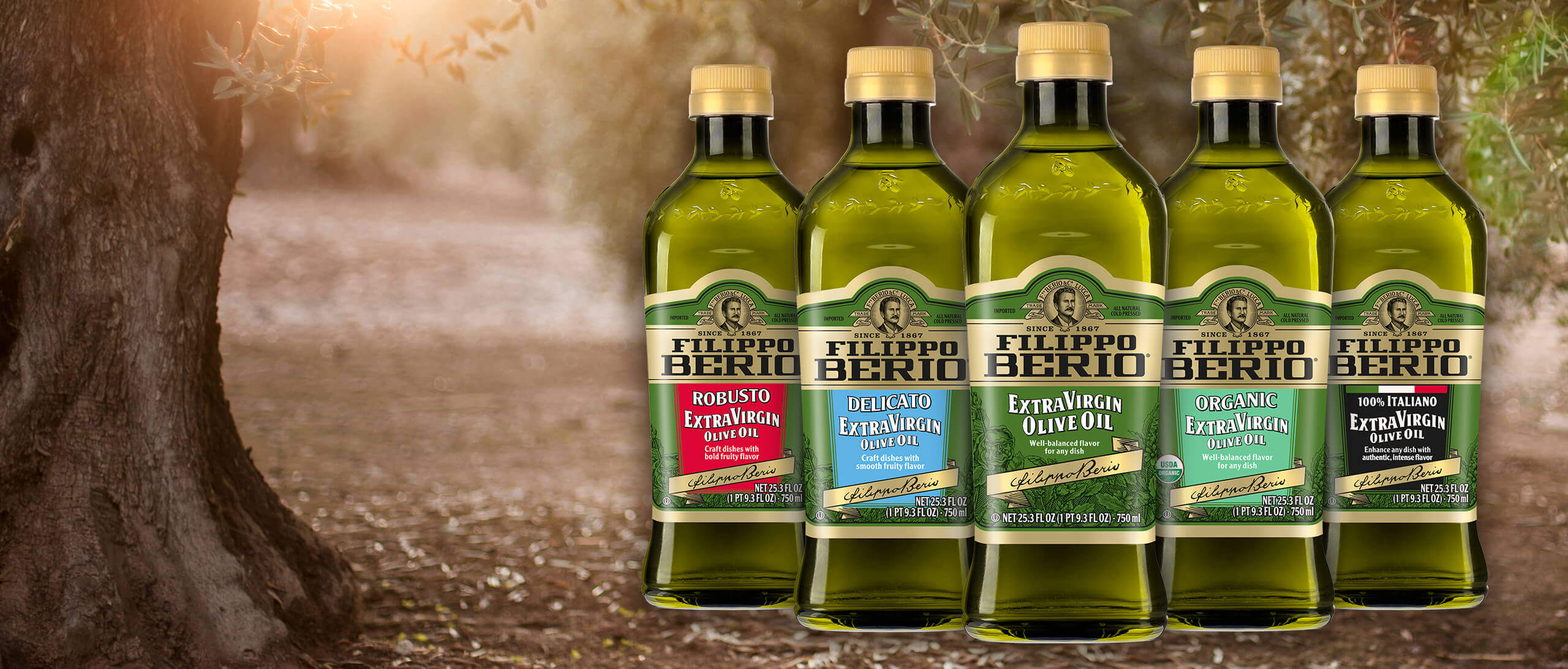 Filippo Berio Extra Virgin Olive Oil Lineup
