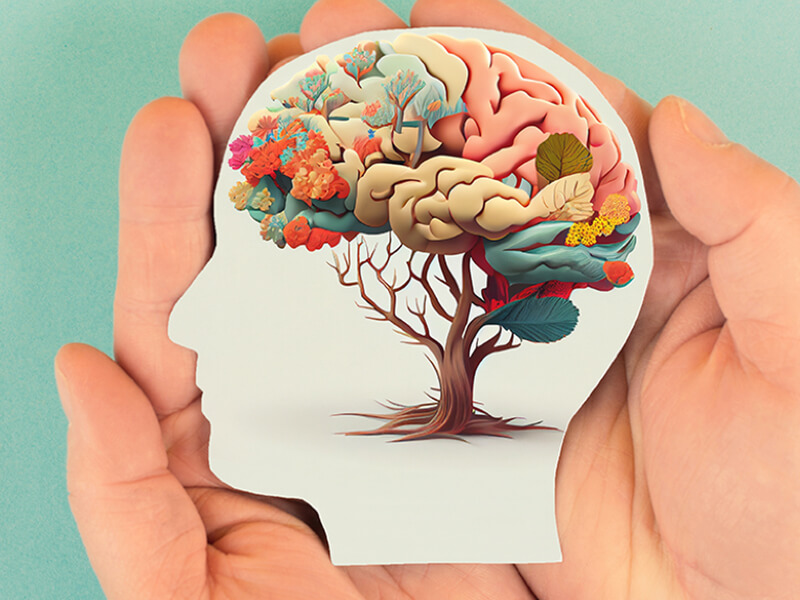 image of a brain growing in a tree being held by hands