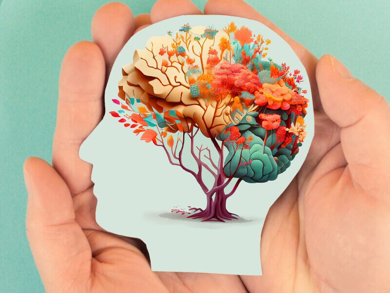 image of a brain growing in a tree being held by hands