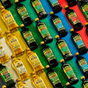 Bottles of Olive Oil on colored backgrounds